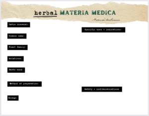 A mockup of the Herbal Materia Medica template - Click to download the PDF
