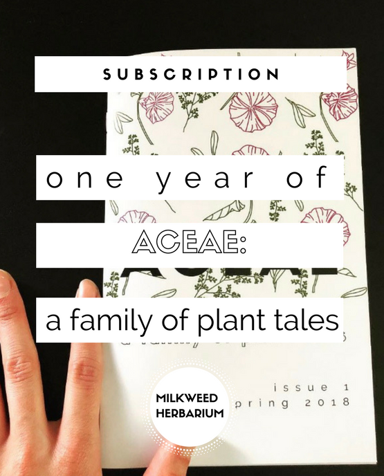 Aceae Subscription