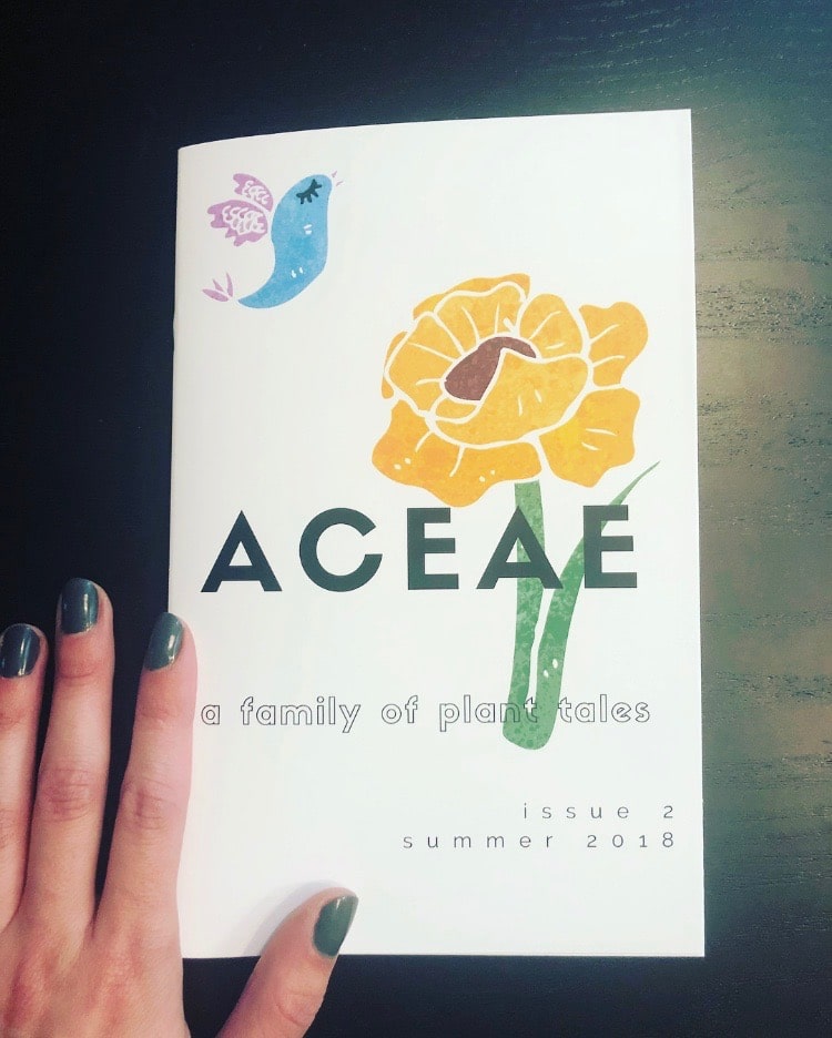 Aceae Summer