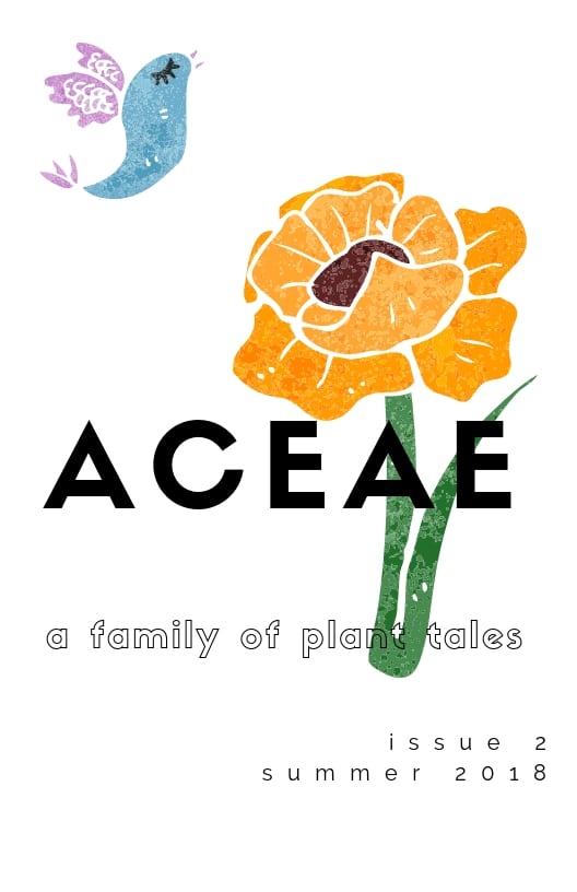 Aceae Issue 2