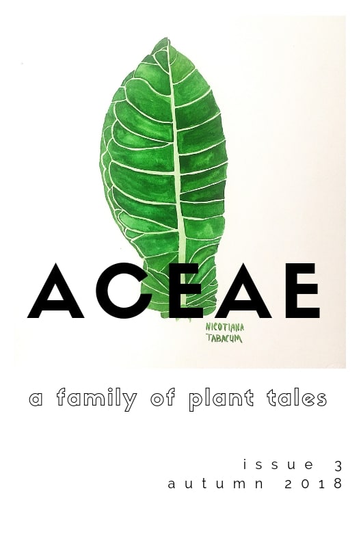 Aceae Issue 3
