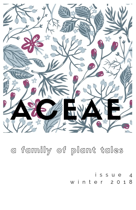 Aceae Issue 4