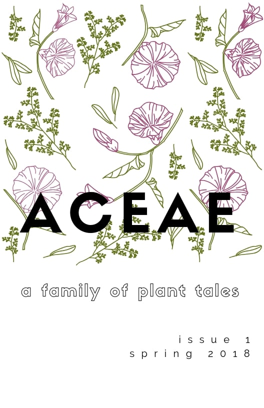 Aceae Cover